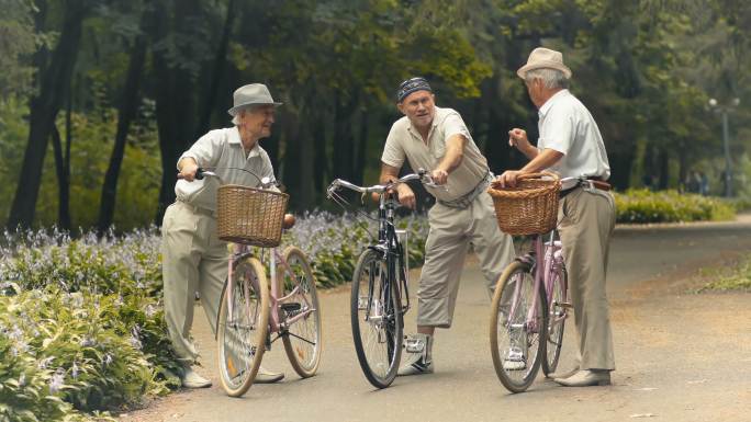 三个骑自行车的老朋友在公园里谈话