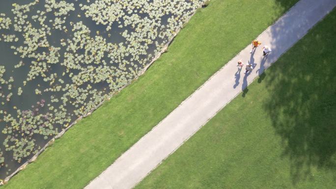 空中四个跑步者在公园的湖边跑步