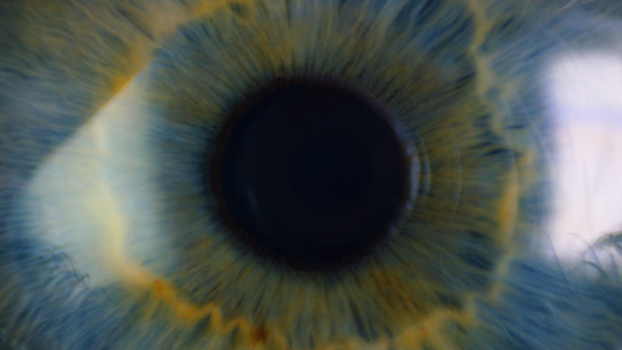 一只眼睛的特写近视远视眼球