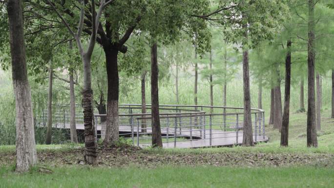 无锡贡湖湾湿地公园