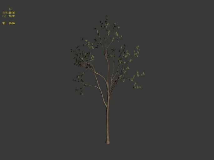 稀疏树叶_MAX模型