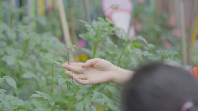 自然课4k户外课程