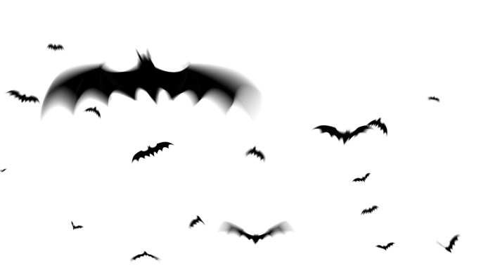 一群蝙蝠