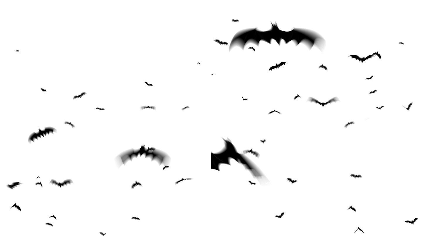 一群蝙蝠