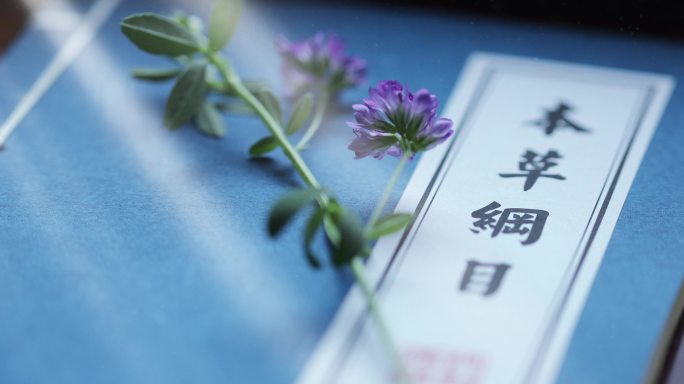 本草纲目与紫花苜蓿