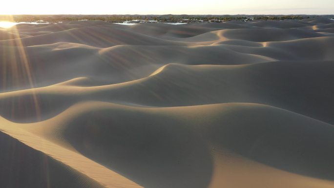 沙漠清晨