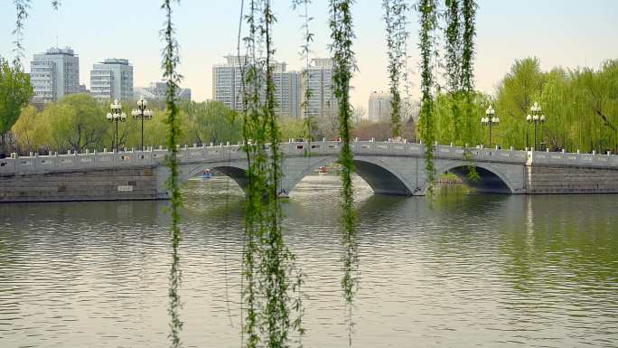 原创拍摄北京陶然亭公园春季景色