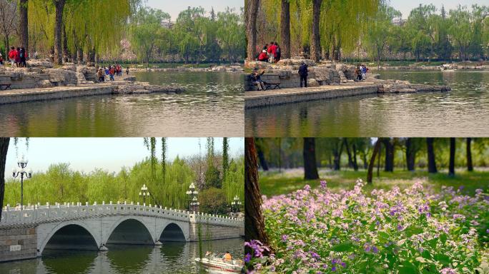 原创拍摄北京陶然亭公园春季景色