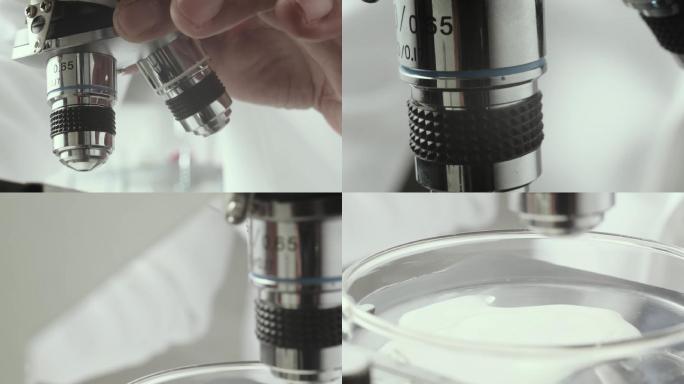 2K-实验室显微镜培养皿
