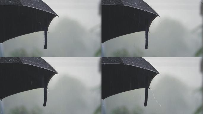 雨伞避雨