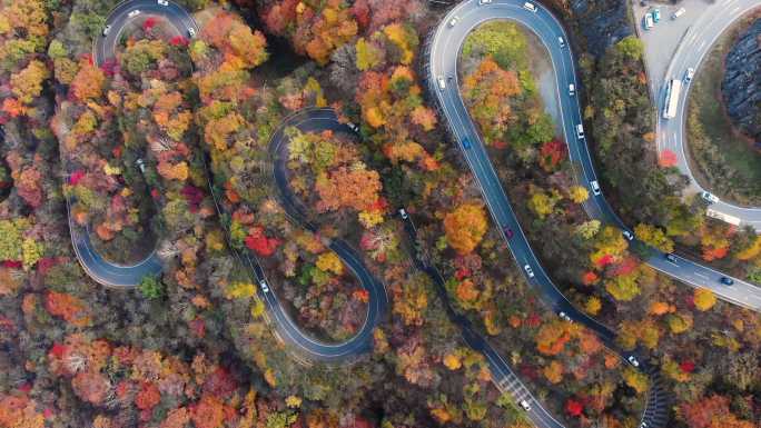 鸟瞰图蜿蜒的道路盘山公路