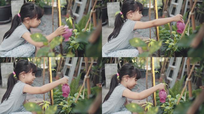 在花园里浇花的女孩
