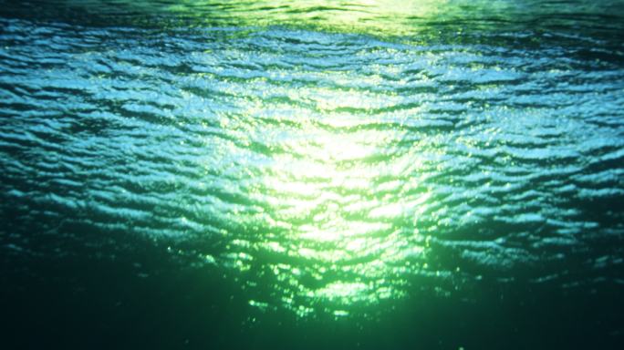 日落时的海浪海洋馆锦鲤公园海底世界三维动