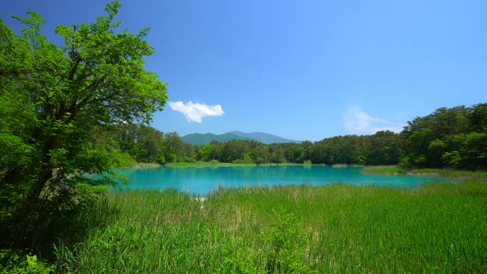 草地，湖，天空阳光自然美美丽