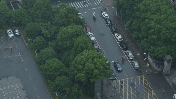 6K下雨天城市街头【0.5倍速】01