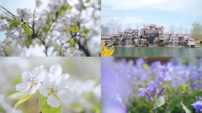 花瀑布鸟公园素材合集