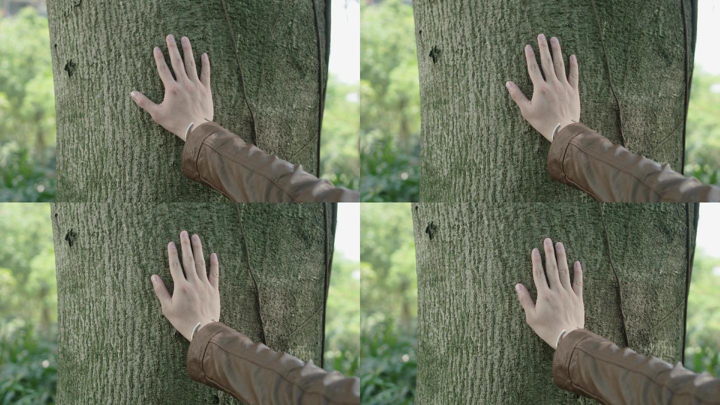 手触摸树木