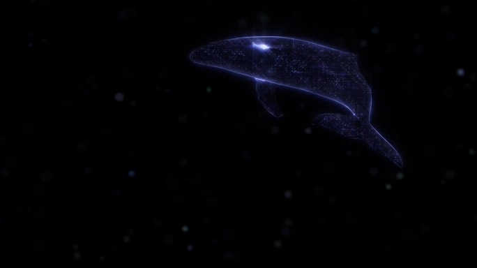 3D全息梦幻鲸鱼超宽