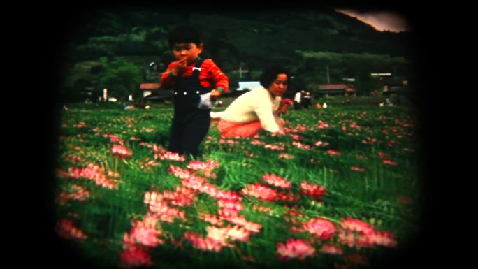 60年代8毫米镜头采花