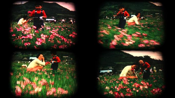 60年代8毫米镜头采花