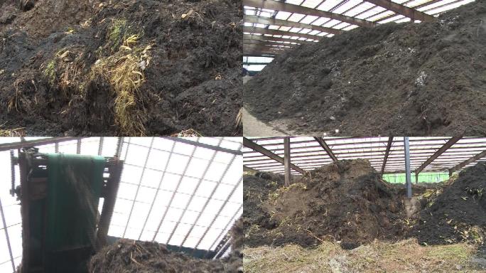 肥料发酵农家肥有机肥生产牛粪
