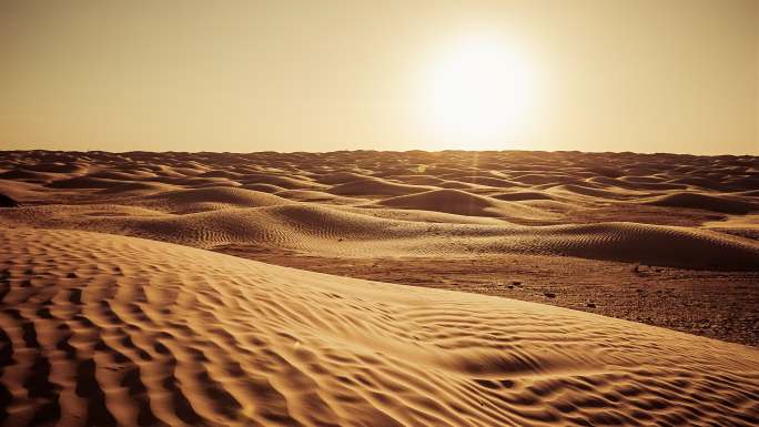 撒哈拉沙漠日落/东方大沙漠/突尼斯
