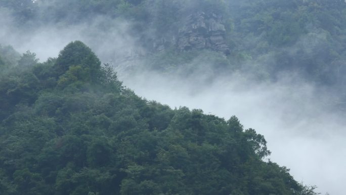 下雨雨雾云雾大山延时山雨潮湿气候