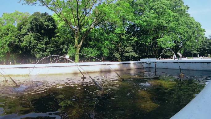 日本代代木公园喷水池延时摄影