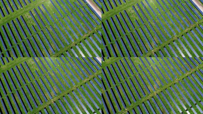 直视太阳能电池板发电厂提供清洁的可再生能