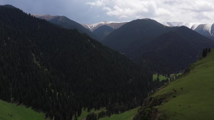 风景新疆