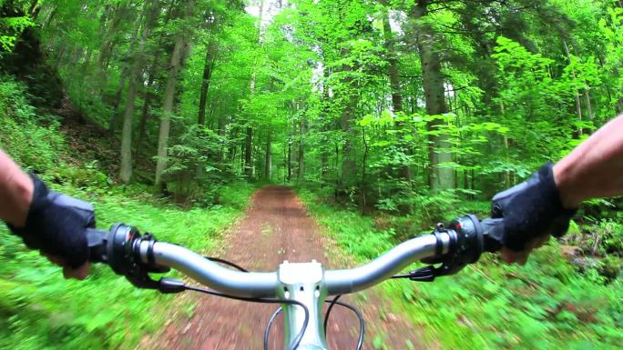 山地自行车穿越绿色森林