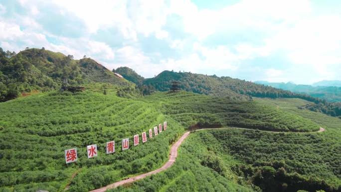 4K航拍麻江蓝梦谷蓝莓种植园5