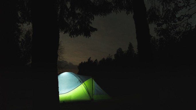 森林和星星中的帐篷