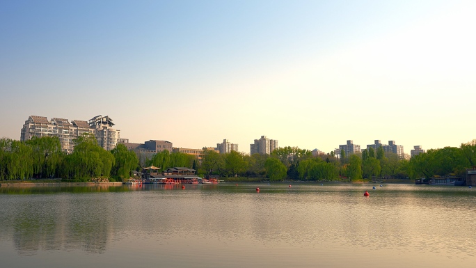 原创拍摄北京春天紫竹院公园的清晨景色