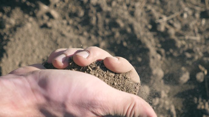检查干旱的领域。土壤农技师检验检测