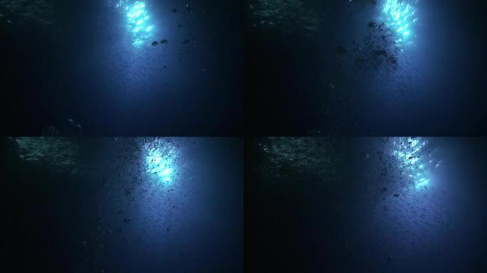 潜水员在夜间水下用手电筒在海底背景下潜水