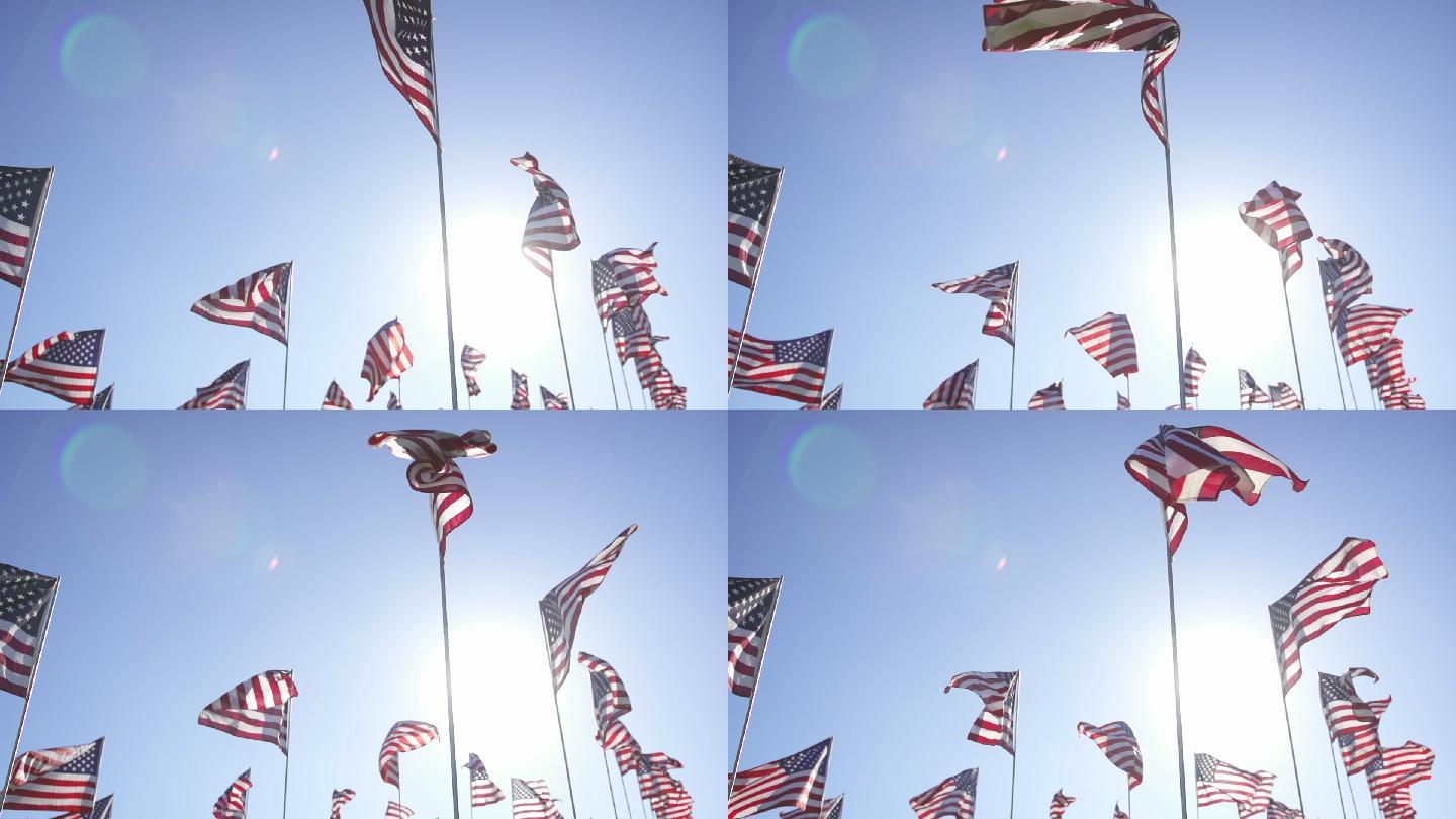 迎风飘扬的美国国旗