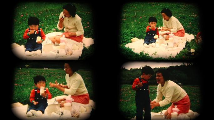 60年代母子野餐