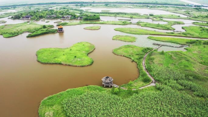 航拍慈溪市杭州湾国家湿地公园