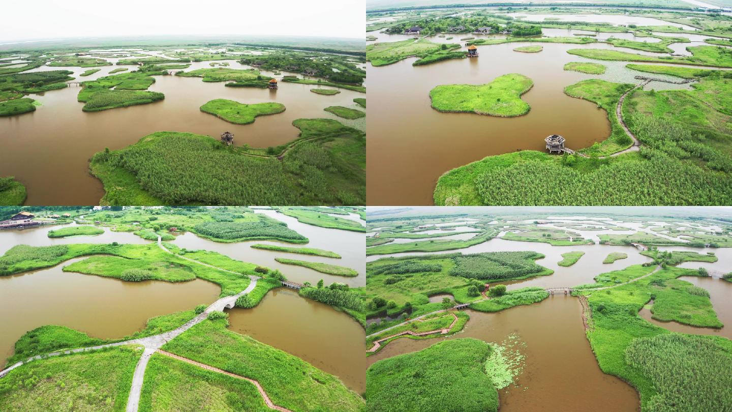 航拍慈溪市杭州湾国家湿地公园