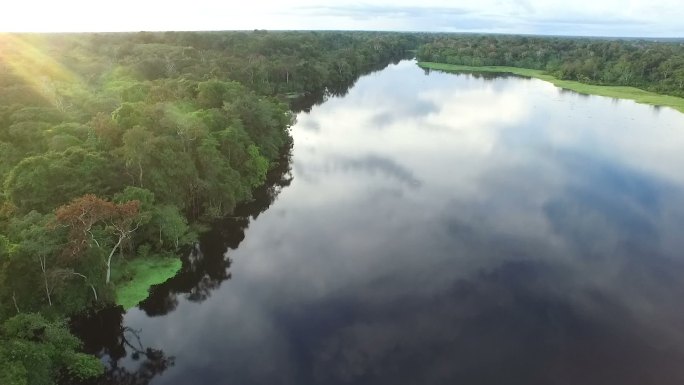 亚马逊河、丛林和内陆湖鸟瞰图