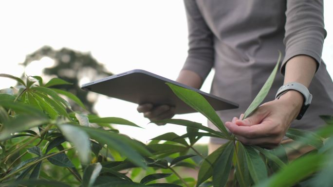 智能农业现代智慧科技兴农扫描农作物