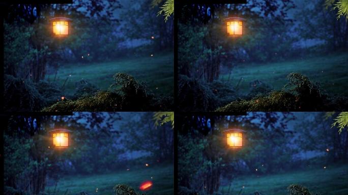 花园中飞舞的萤火虫循环视频素材