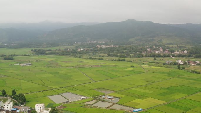 航拍湖南稻田森林高速路新农村