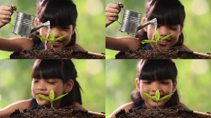 给植物浇水的小女孩