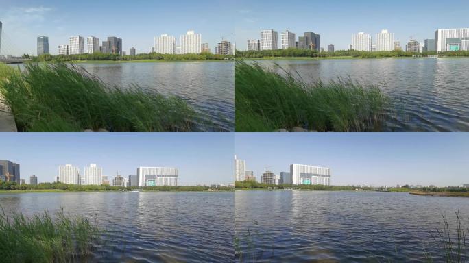 2021最新龙子湖湖心岛景色