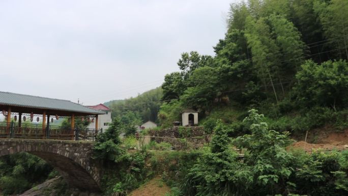 山间小桥溪水山林从林