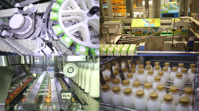 牛奶生产线