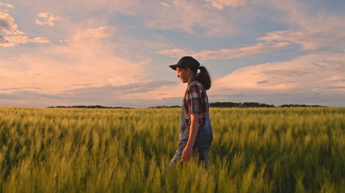 年轻女农场主漫步在宁静的绿麦田