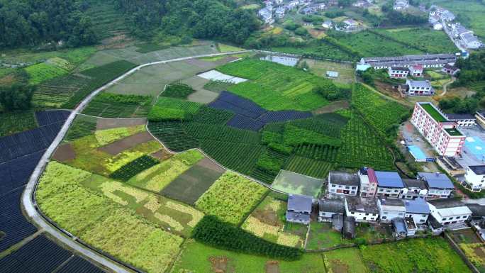 陕西汉中陕茶茶山陕南村庄航拍4k